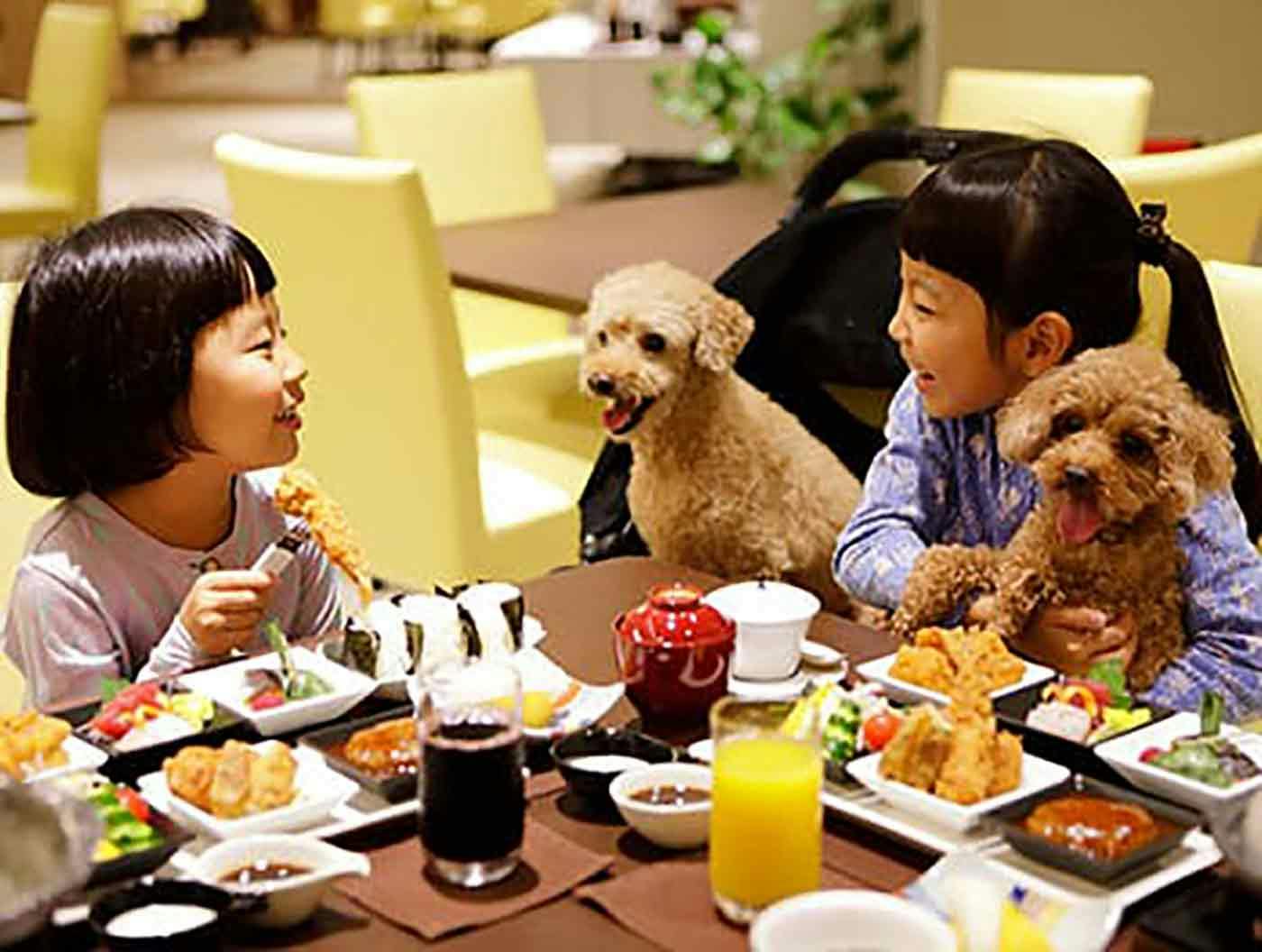 レジーナリゾート 鴨川で食事をする子どもたちと愛犬のトイプードル