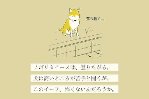 変な犬図鑑no 013 ノボリタイーヌ 高いところに登りたがる犬の心理を獣医師が解説 わんクォール 変な犬図鑑no 013 ノボリタイーヌ 高いところに登りたがる犬の心理を獣医師が解説 わんクォール