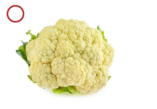 犬に食べさせてok Ng 冬が旬の野菜11選 獣医師監修 わんクォール 犬に食べさせてok Ng 冬が旬の野菜11選 獣医師監修 わんクォール