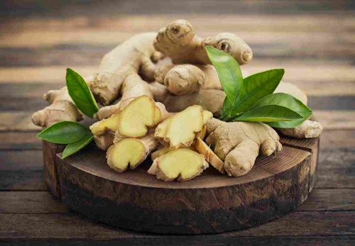 犬に生姜を食べさせても大丈夫 与え方の注意点や一日の適量を解説 獣医師監修 わんクォール 犬に生姜を食べさせても大丈夫 与え方の注意点や一日の適量を解説 獣医師監修 わんクォール