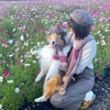 犬帽子ハンドメイド作家/ランママ