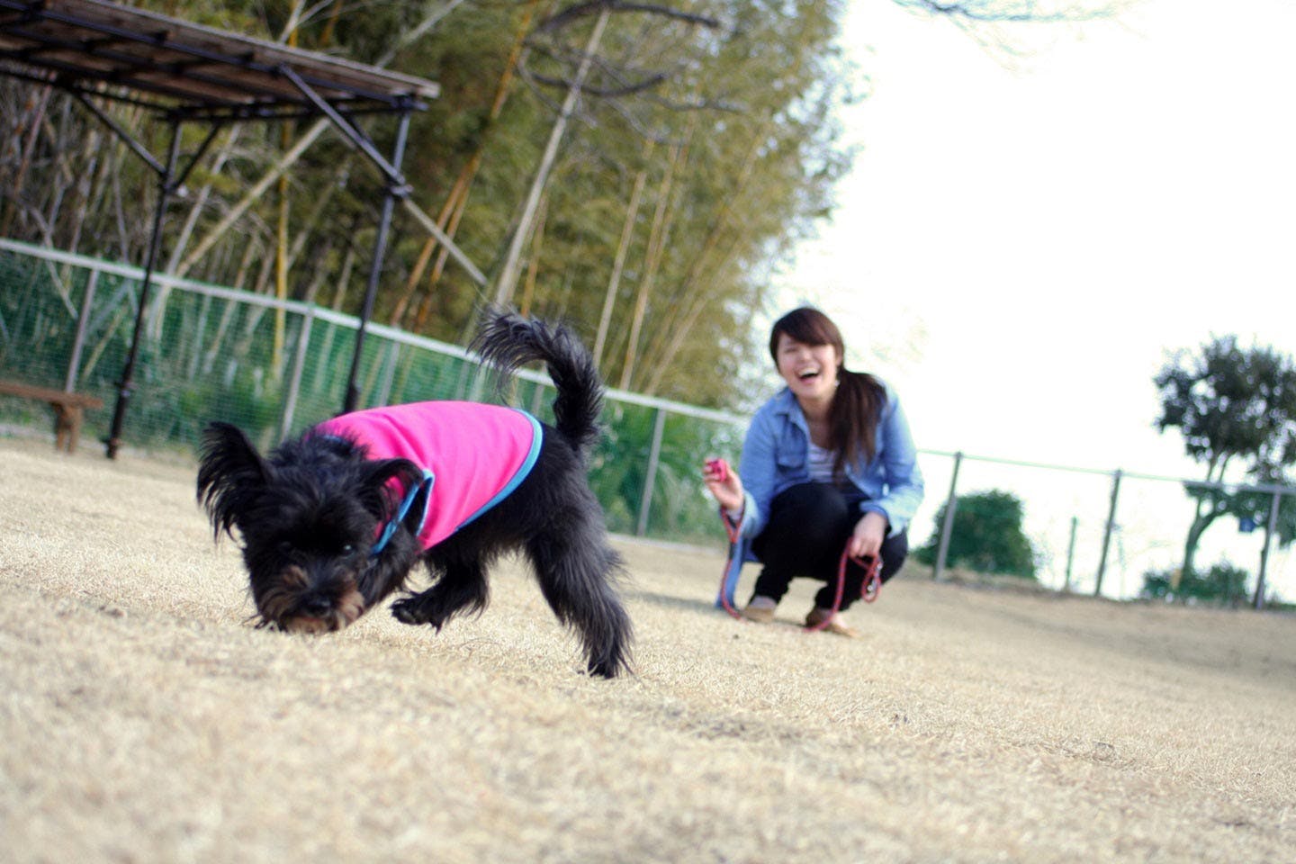 愛犬とゴーカートやリフトに乗ろう 伊豆高原のおすすめレジャースポット4選 わんクォール
