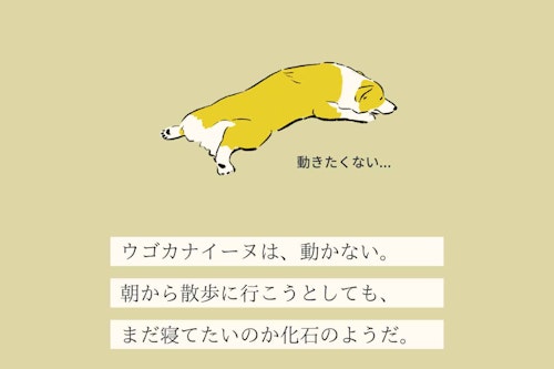 変な犬図鑑no 014 ウゴカナイーヌ お散歩に行きたがらない 途中で歩かなくなる犬の心理を獣医師が解説 わんクォール 変な犬図鑑no 014 ウゴカナイーヌ お散歩に行きたがらない 途中で歩かなくなる犬の心理を獣医師が解説 わんクォール