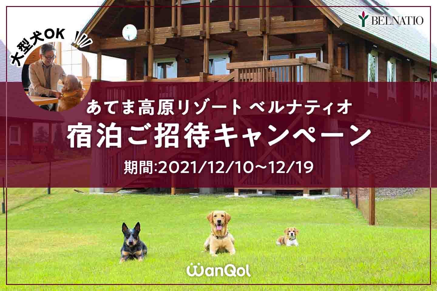 宿泊ご招待】大型犬もOK！コテージに愛犬と宿泊できる新潟『あてま高原リゾート ベルナティオ』の宿泊券をプレゼント|ワンクォール