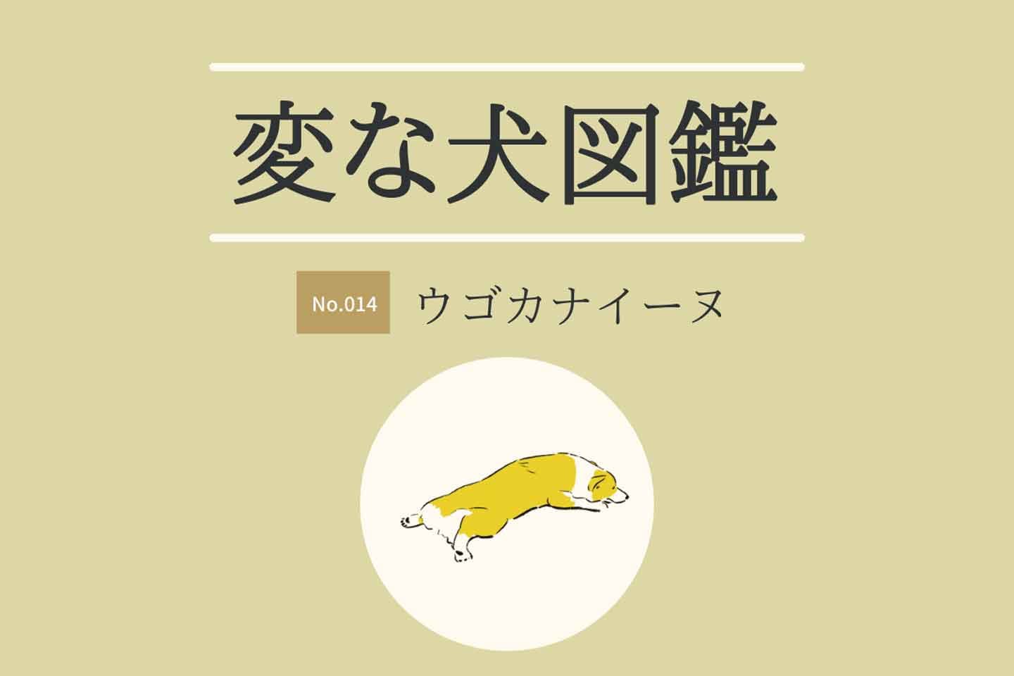 【変な犬図鑑No.014 ウゴカナイーヌ】お散歩に行きたがらない、途中で歩かなくなる犬の心理を獣医師が解説！