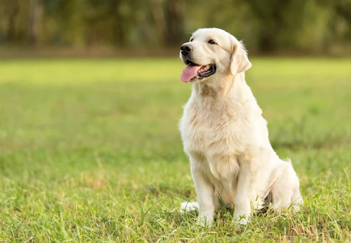 Hxcr6yzzs2ycrm Hxcr6yzzs2ycrm