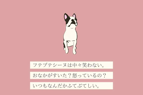 本当は かまってちゃん 無愛想で感情が分かりにくい変な犬 フテブテシーヌ の生態を獣医師さんに聞いてみた わんクォール 本当は かまってちゃん 無愛想で感情が分かりにくい変な犬 フテブテシーヌ の生態を獣医師さんに聞いてみた わんクォール