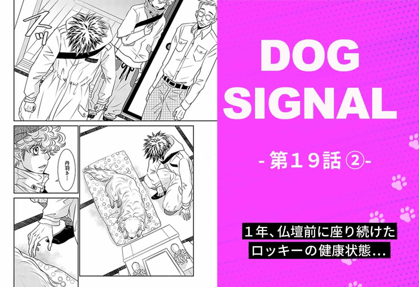 DOG SIGNAL（ドッグシグナル）』19話目 2/4|ワンクォール