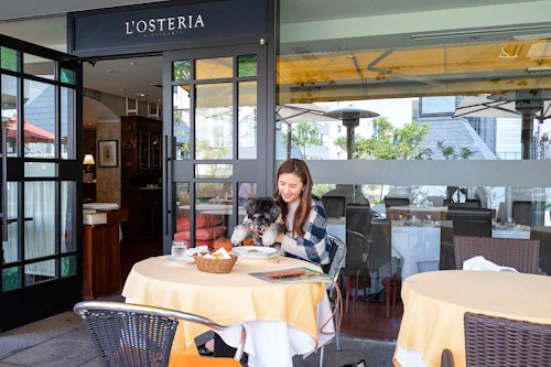 六本木 麻布十番 犬同伴可のイタリアン3選 大人が行きたいレストランに愛犬と一緒にデート わんクォール 六本木 麻布十番 犬同伴可のイタリアン3選 大人が行きたいレストランに愛犬と一緒にデート わんクォール