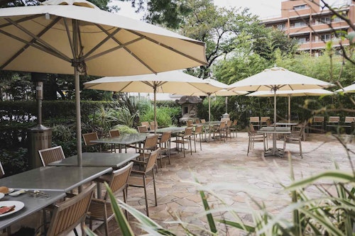 都内 愛犬と行けるラグジュアリーホテルのレストラン3選 ドッグフレンドリーなホテルで優雅なランチ わんクォール 都内 愛犬と行けるラグジュアリーホテルのレストラン3選 ドッグフレンドリーなホテルで優雅なランチ わんクォール