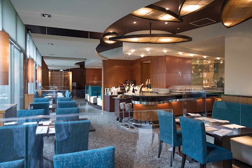 都内 愛犬と行けるラグジュアリーホテルのレストラン3選 ドッグフレンドリーなホテルで優雅なランチ わんクォール 都内 愛犬と行けるラグジュアリーホテルのレストラン3選 ドッグフレンドリーなホテルで優雅なランチ わんクォール