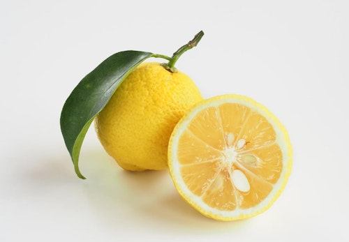 犬に食べさせてokな冬が旬のフルーツ9選 獣医師監修 わんクォール 犬に食べさせてokな冬が旬のフルーツ9選 獣医師監修 わんクォール