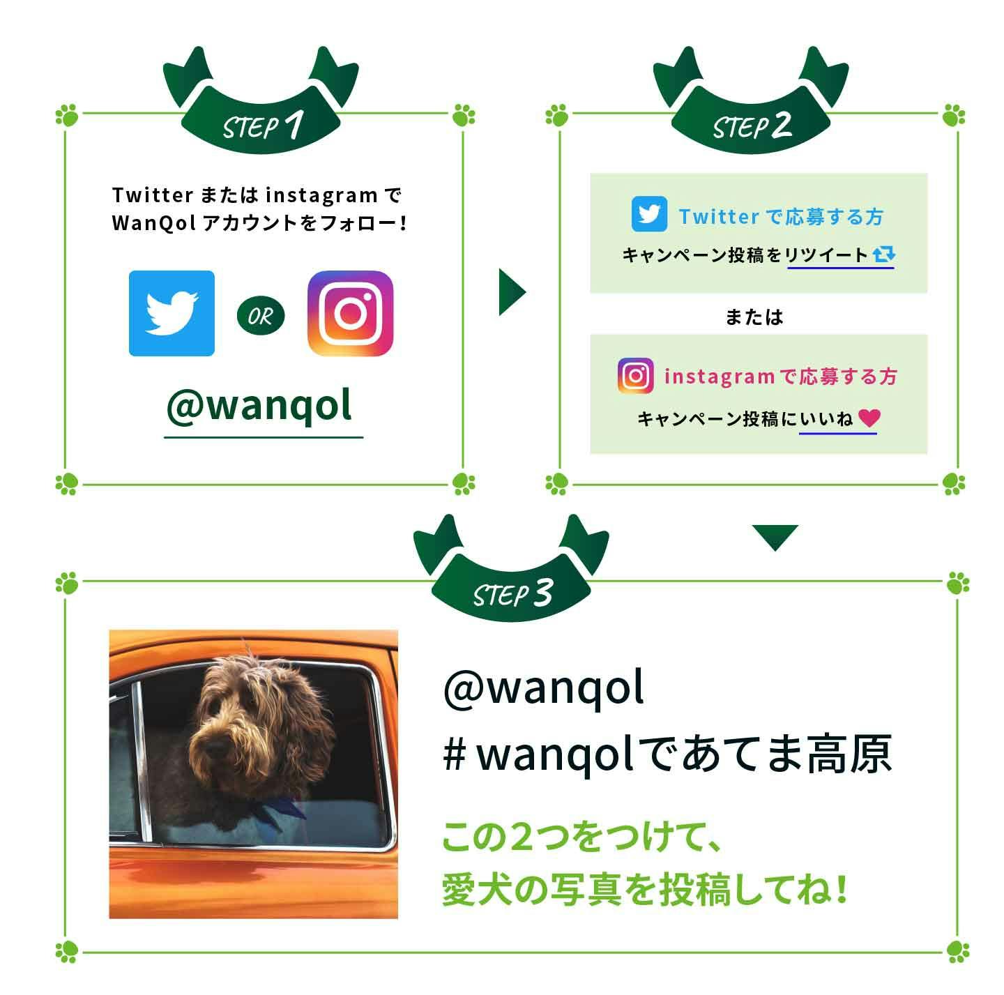 WanQolのキャンペーン参加方法