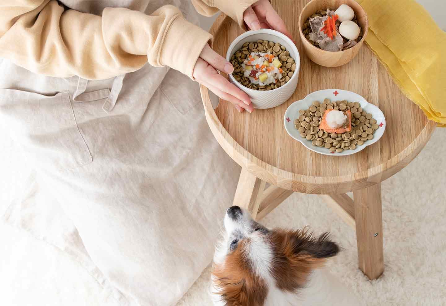 【食べ渋り対策】愛犬用ドッグフードの和風ほっこりトッピングレシピ3選！〜消化促進・食欲UP・ダイエット〜