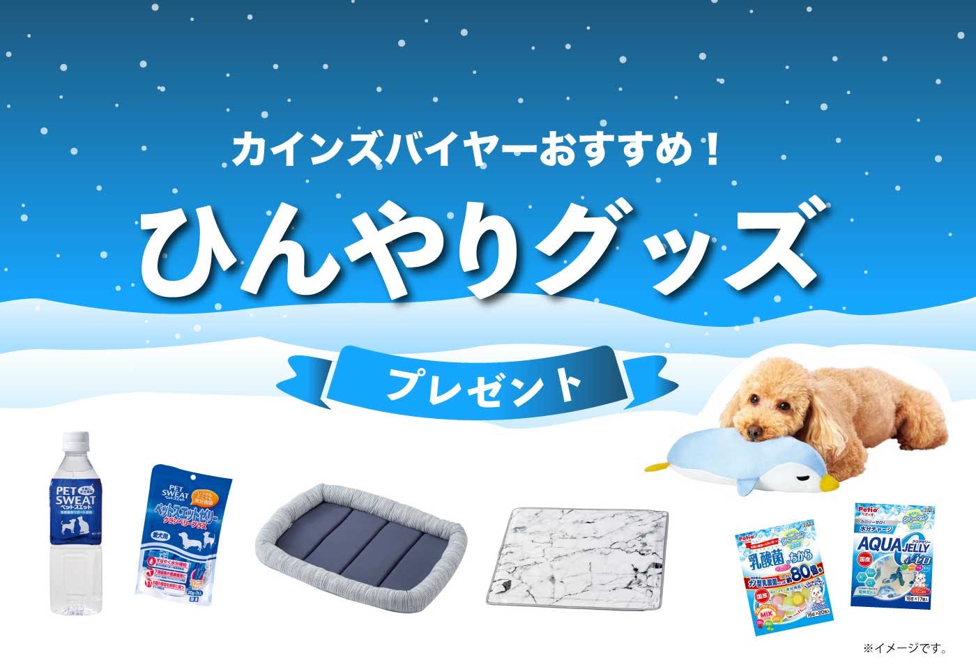 ひんやりグッズ プレゼント 愛犬が暑い夏を快適に過ごすためのアイテムをゲットしよう わんクォール