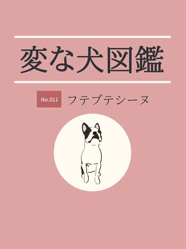 変な犬図鑑No.011 フテブテシーヌ】無愛想で感情が分かりにくい犬の
