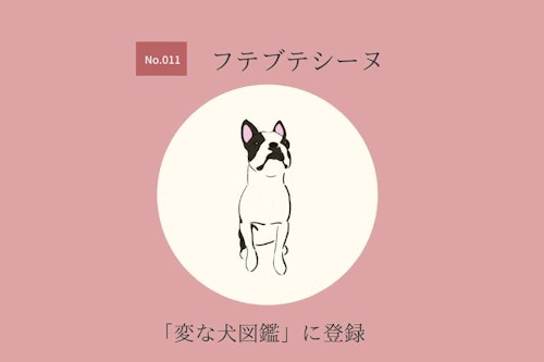 変な犬図鑑no 011 フテブテシーヌ 無愛想で感情が分かりにくい犬の本音を獣医師が解説 わんクォール 変な犬図鑑no 011 フテブテシーヌ 無愛想で感情が分かりにくい犬の本音を獣医師が解説 わんクォール
