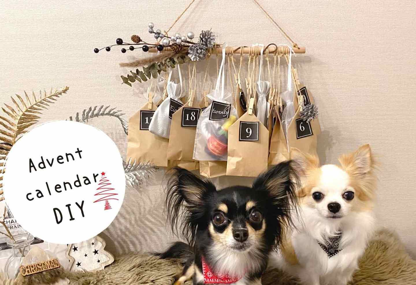 すぐ作れる 簡単diy 手作りアドベントカレンダーのアイディア 愛犬とクリスマスまで一緒に楽しもう わんクォール