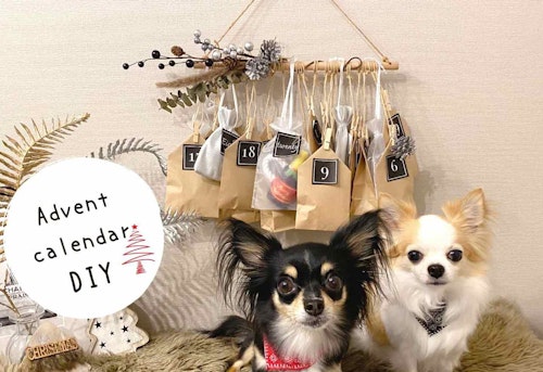 【すぐ作れる！簡単DIY】手作りアドベントカレンダーのアイディア！愛犬とクリスマスまで一緒に楽しもう♪
