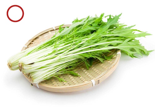 犬に食べさせてok Ng 冬が旬の野菜11選 獣医師監修 わんクォール 犬に食べさせてok Ng 冬が旬の野菜11選 獣医師監修 わんクォール