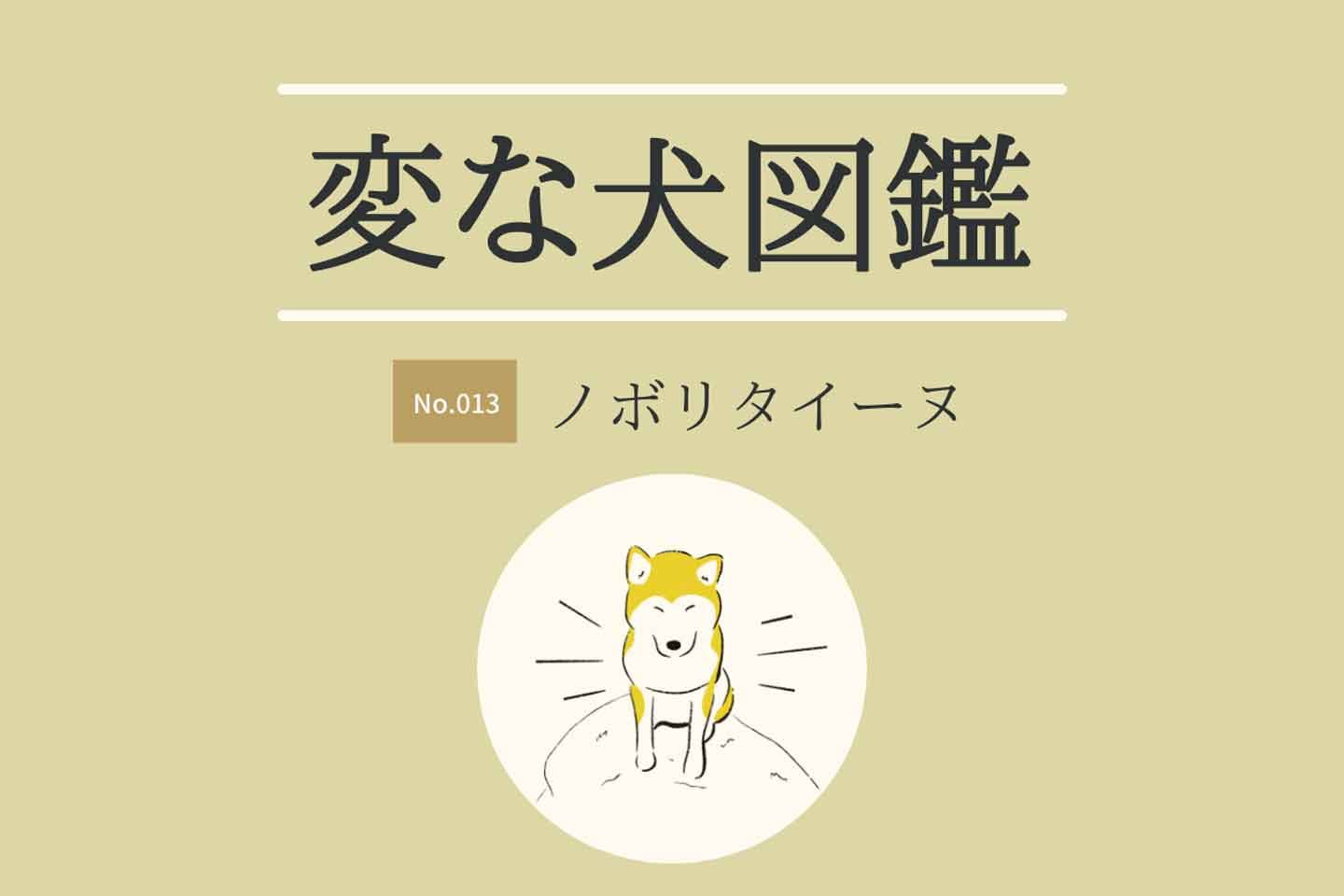 変な犬図鑑No.013 ノボリタイーヌ】高いところに登りたがる犬の心理を