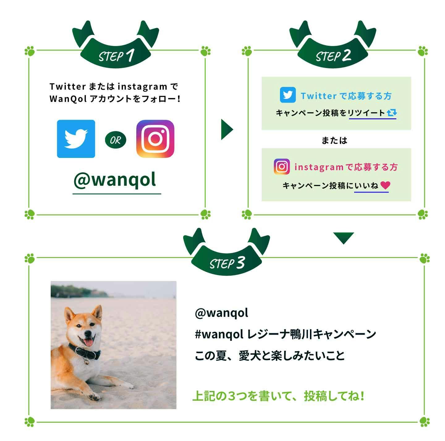 【宿泊ご招待】レジーナリゾート鴨川に愛犬と泊まれるキャンペーンを開催
