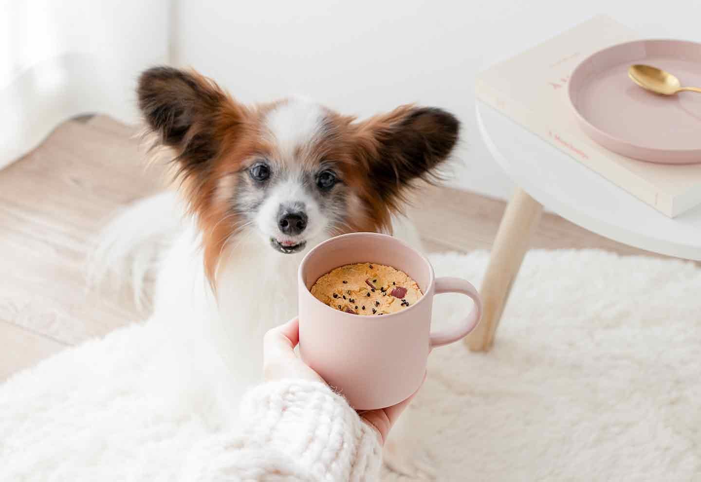 【レンジで簡単】愛犬用さつまいもマグカップケーキは洗い物も楽々♪誕生日や記念日にも使えるおやつレシピ！