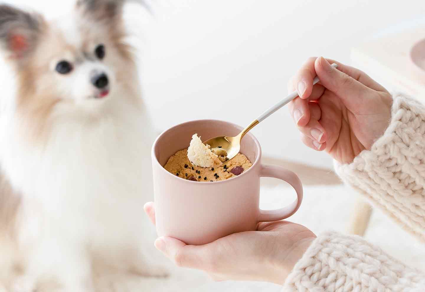 【イベントで活躍】デコレーション不要！気軽に作れる愛犬用マグカップケーキ