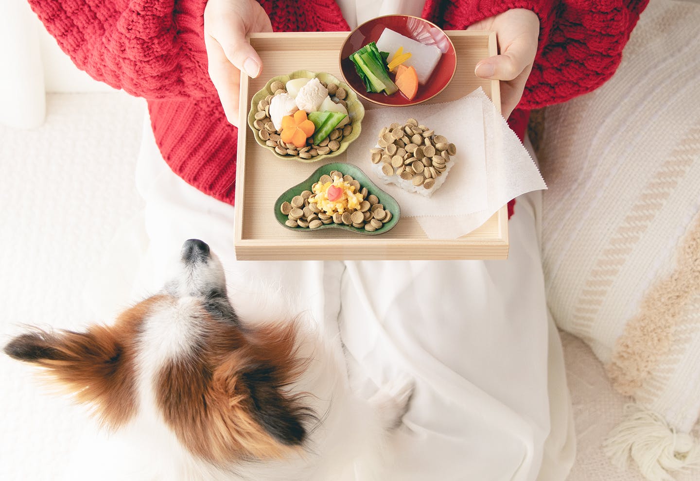 全て10分以内】おうちの食材で作れる愛犬用のお正月メニュー