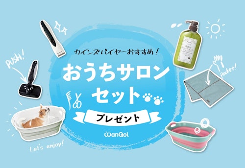 【プレゼント企画】愛犬のお手入れアイテム「おうちサロンセット」をゲットしよう!