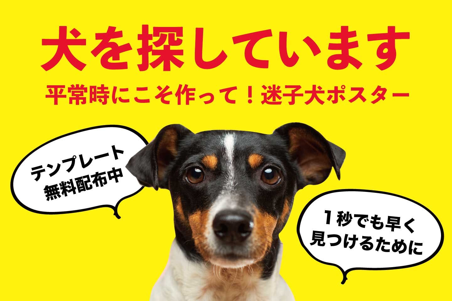 うちの犬に限って迷子にならないと思っていませんか？平常時にこそ