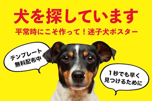 うちの犬に限って迷子にならないと思っていませんか 平常時にこそ 迷子犬ポスターを準備して テンプレート無料配布 わんクォール うちの犬に限って迷子にならないと思っていませんか 平常時にこそ 迷子犬ポスターを準備して テンプレート無料配布 わんクォール