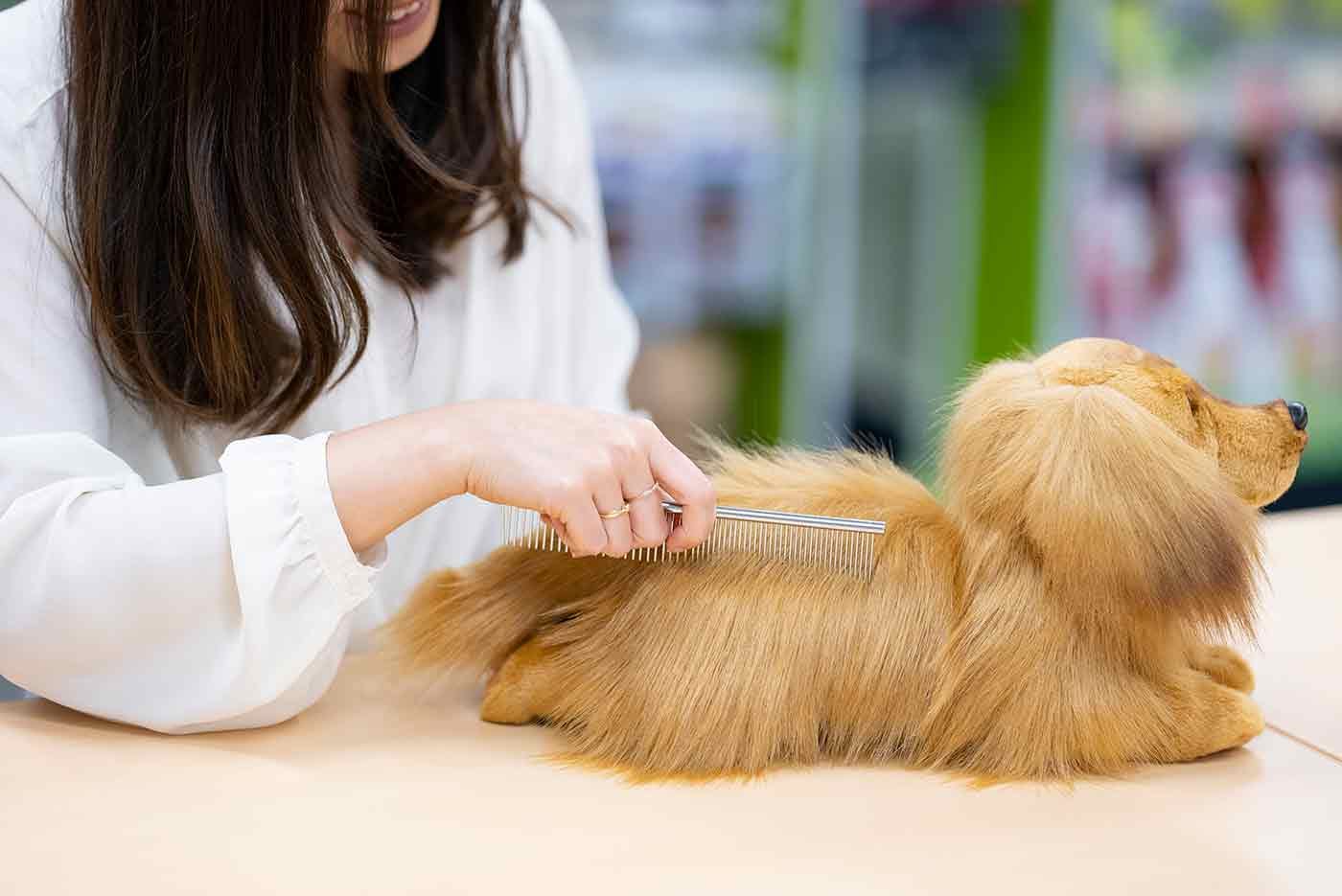 犬の抜け毛対策に最高のアイテム！ごっそり毛が取れると話題のブラシ