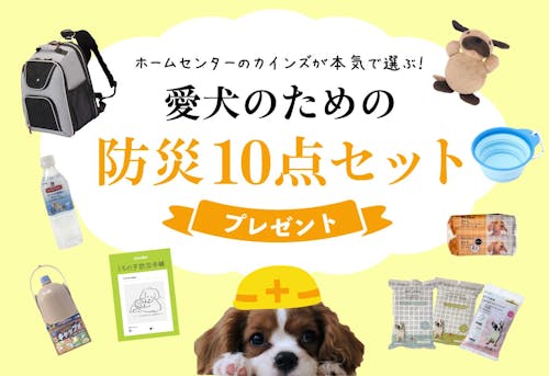 ホームセンターが本気で選ぶ 愛犬のための 防災グッズ 10点セットをプレゼント わんクォール