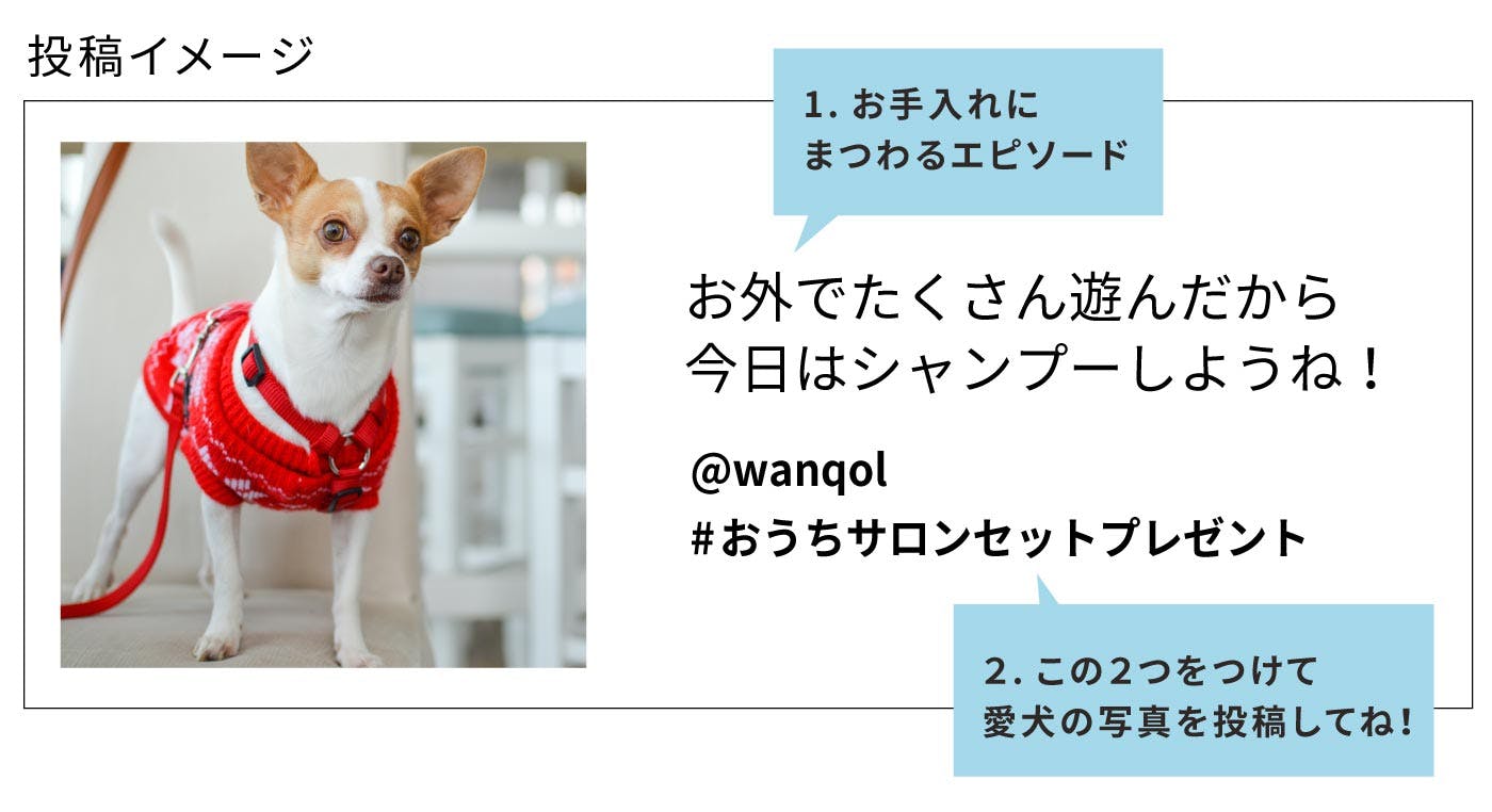 おうちサロンセットキャンペーン参加投稿の内容例