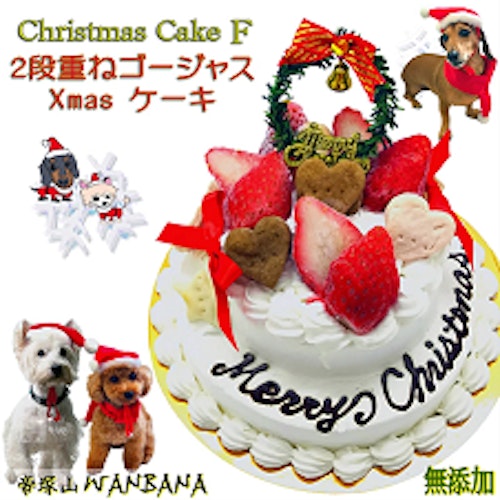 クリスマス 愛犬と一緒に楽しもう 見た目もかわいい犬が食べられるクリスマスケーキ特集 わんクォール