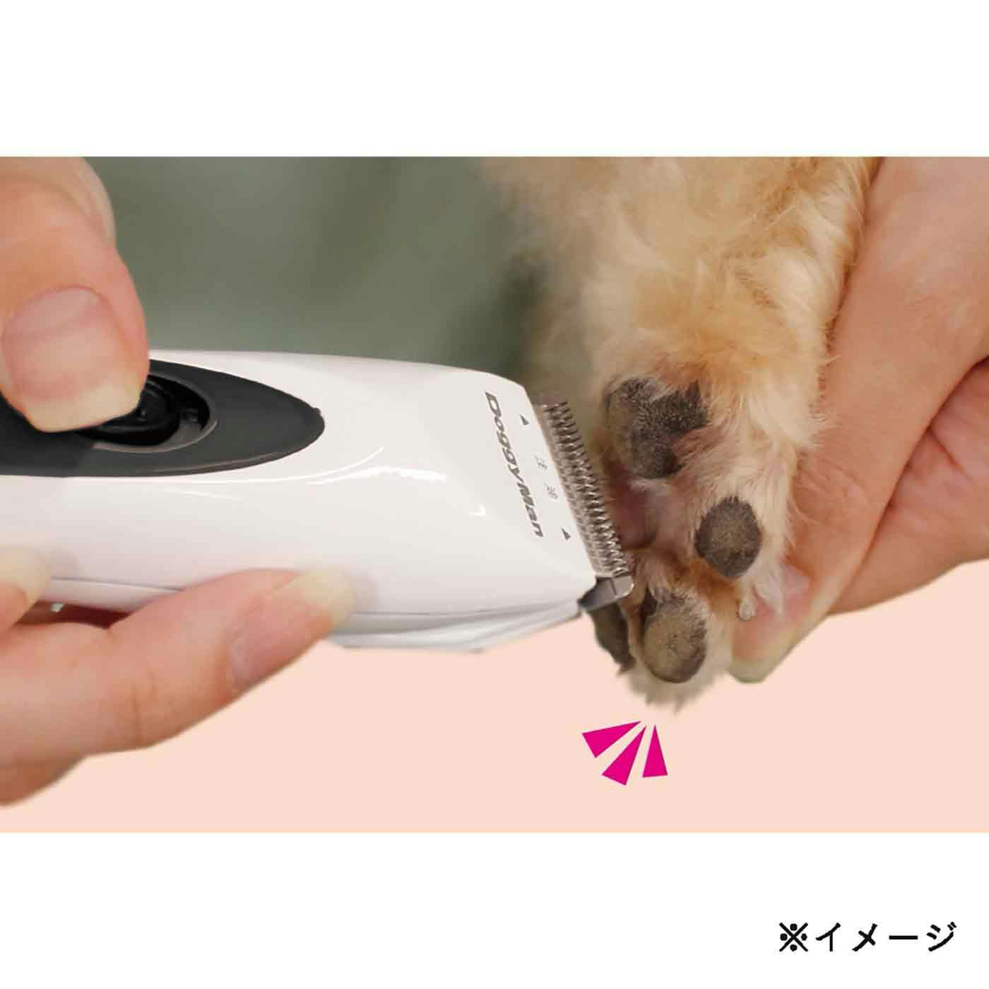 犬の足裏をバリカンで処理する様子