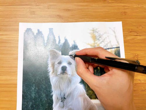 絵心ゼロでも大丈夫 おうち時間に100均アイテムで うちの子を描いてみよう わんクォール 絵心ゼロでも大丈夫 おうち時間に100均アイテムで うちの子を描いてみよう わんクォール