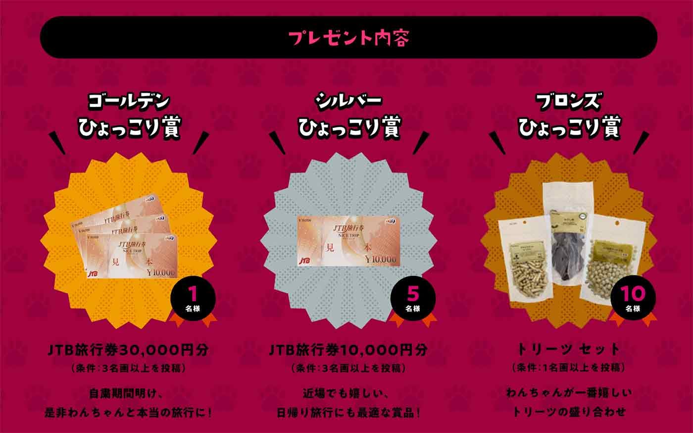 ひょっこりわん景品