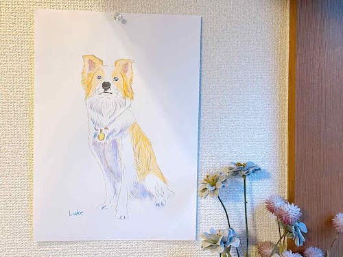 誰でもカンタン写すだけ おうち時間に100均アイテムで うちの子を描いてみよう わんクォール