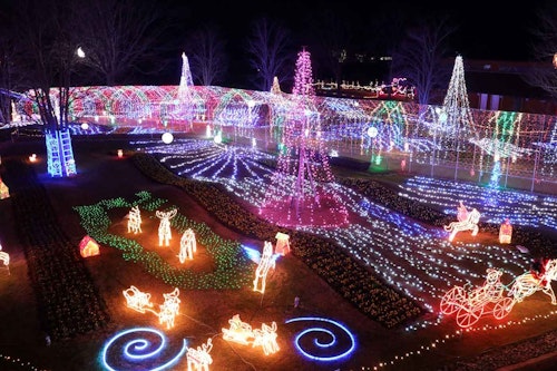 兵庫県立フラワーセンター「花と光のクリスマス」