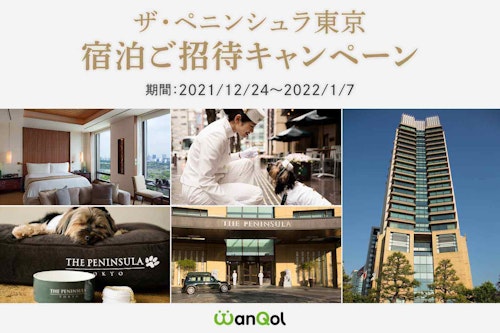 【宿泊ご招待】丸の内の眺望を楽しむ五つ星ホテル『ザ・ペニンシュラ東京』の愛犬同伴プランをプレゼント!