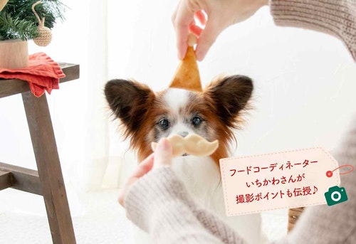【保存版】簡単でカラフルな愛犬用クッキーレシピ集！型がなくてもOK♪写真も映えるプロップススイーツ♡