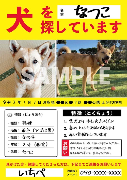 うちの犬に限って迷子にならないと思っていませんか 平常時にこそ 迷子犬ポスターを準備して テンプレート無料配布 わんクォール うちの犬に限って迷子にならないと思っていませんか 平常時にこそ 迷子犬ポスターを準備して テンプレート無料配布 わんクォール