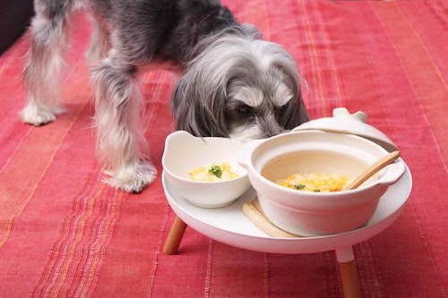 米から 炊いたごはんで作る 卵のおかゆ 愛犬も喜ぶ胃腸の疲れ 食欲不振に効くレシピ わんクォール 米から 炊いたごはんで作る 卵のおかゆ 愛犬も喜ぶ胃腸の疲れ 食欲不振に効くレシピ わんクォール