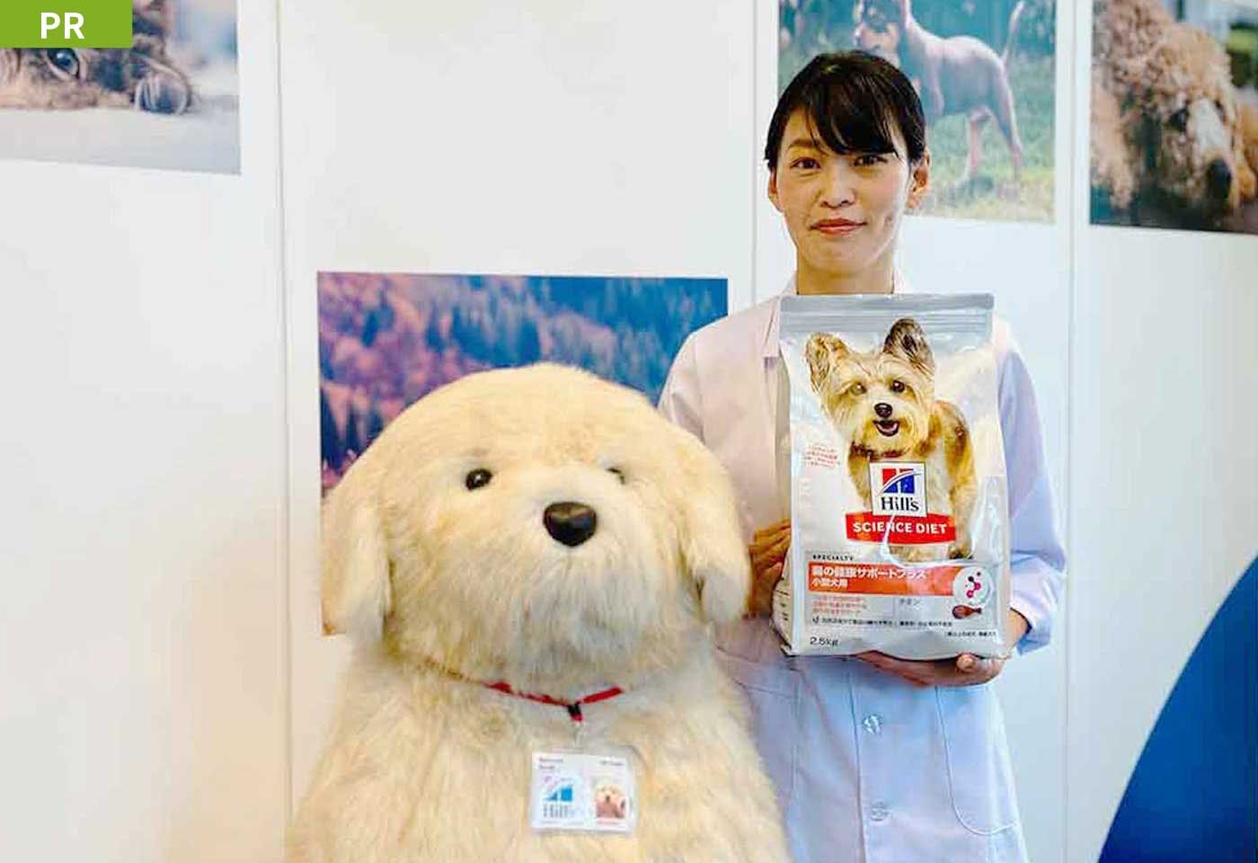 愛犬の腸活はじめませんか？うんちの気になるニオイから理想のカタチまで【獣医師監修】