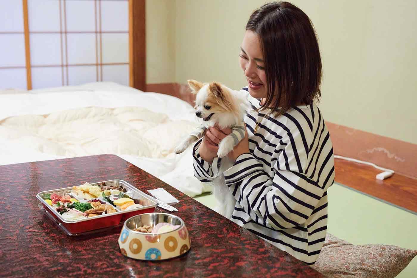 お部屋で食事をするチワワのこひめちゃんと飼い主の中原さん