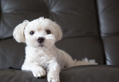 Uji7gmgmrotgqm Uji7gmgmrotgqm