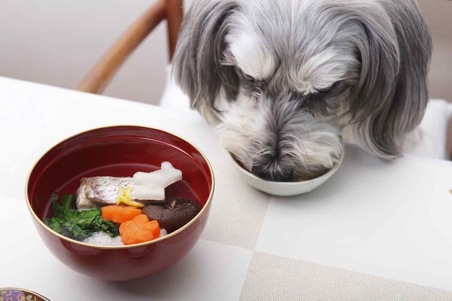 【年始の献立】簡単なのに本格的な愛犬用のお雑煮♪食べ慣れた食材をお正月仕様にアップグレードさせてみた！