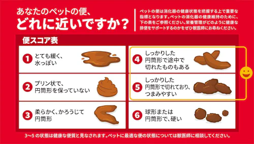 愛犬の腸活はじめませんか うんちの気になるニオイから理想のカタチまで 獣医師監修 わんクォール 愛犬の腸活はじめませんか うんちの気になるニオイから理想のカタチまで 獣医師監修 わんクォール